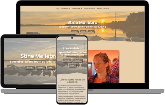 stinemollebro-mockup