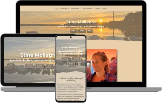 stinemollebro-mockup